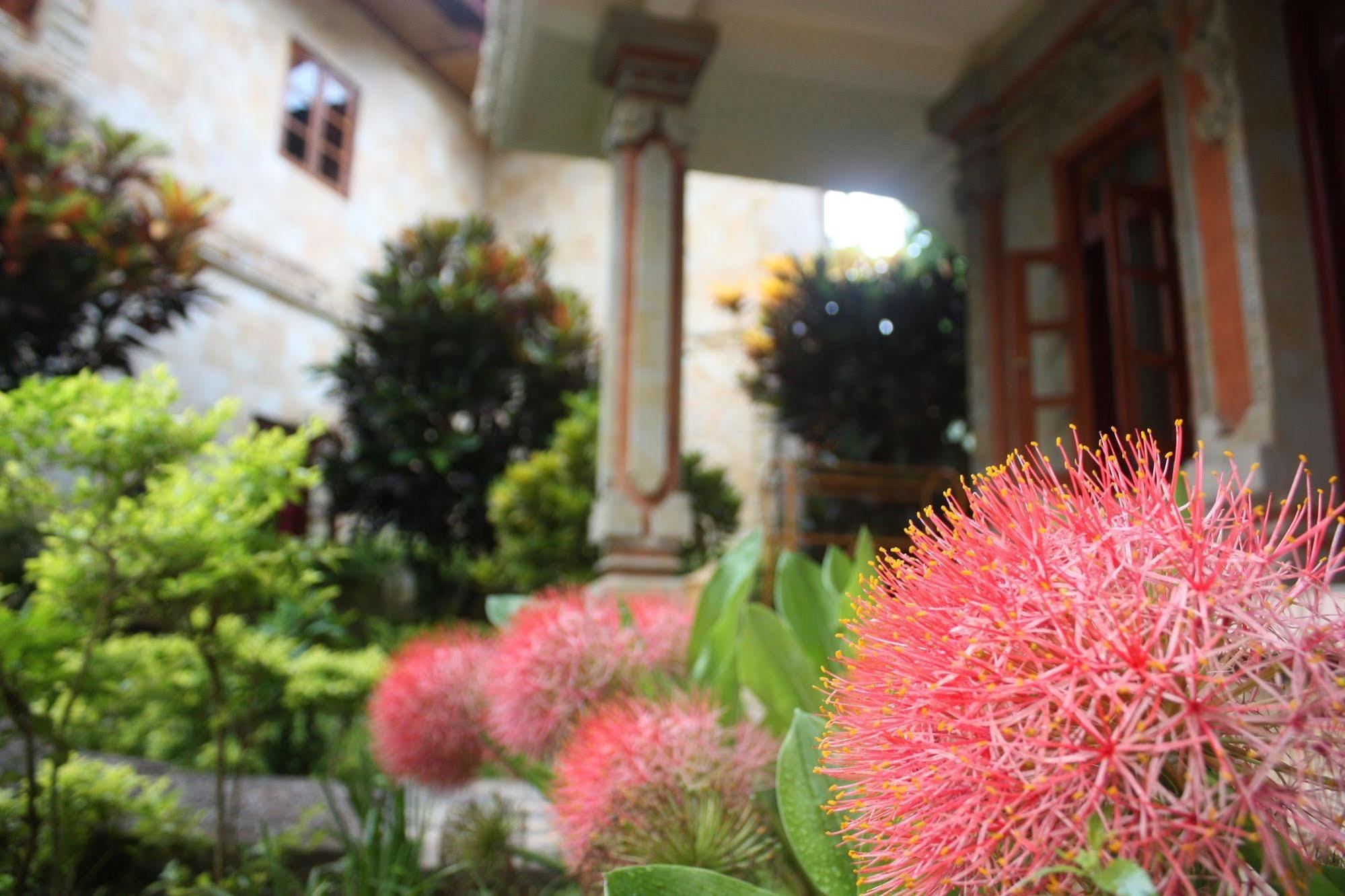 Rambutan Boutique Hotel Lovina Eksteriør billede